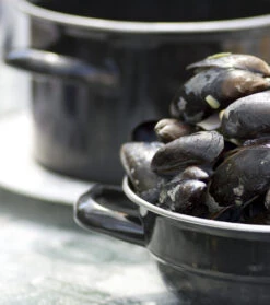 Cosy & Trendy Mosselpan - Zwart - ø 12 Cm / 900 Ml 8 Cosy & Trendy Mosselpan - Zwart - ø 12 Cm / 900 Ml -Keukenbenodigdheden Winkel 111 PUNT 012