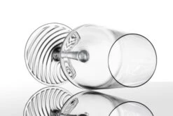 Zwiesel Glas Champagneglazen Echo - 395 Ml - 4 Stuks -Keukenbenodigdheden Winkel 4001836117838 2