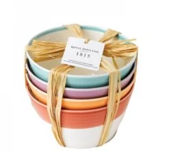 Royal Doulton Kommen 1815 Bright Colours ø 15 Cm - 4 Stuks -Keukenbenodigdheden Winkel 9022 2