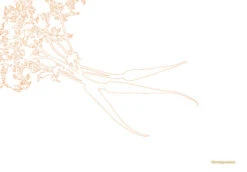 Kookboek - Plenty More 15 Kookboek - Plenty More -Keukenbenodigdheden Winkel 9789059565388 03