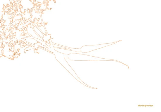 Kookboek - Plenty More 4 Kookboek - Plenty More - Afbeelding 4