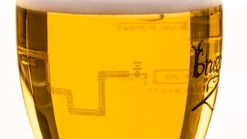 Brugse Zot Bierglas - 330 Ml -Keukenbenodigdheden Winkel Merkbier gevuld 8