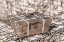 Anovi Oestervorkjes - 4 Stuks 6 Anovi Oestervorkjes - 4 Stuks -Keukenbenodigdheden Winkel Oysterforks