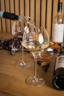 Sareva Wijnopener Set (met Wijnstopper. Foliesnijder & Schenktuit) -Keukenbenodigdheden Winkel Wijnopener 12