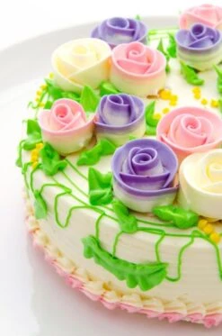 Patisse Springvorm Silver Top ø 16 Cm -Keukenbenodigdheden Winkel patisse vlaai taart sfeer